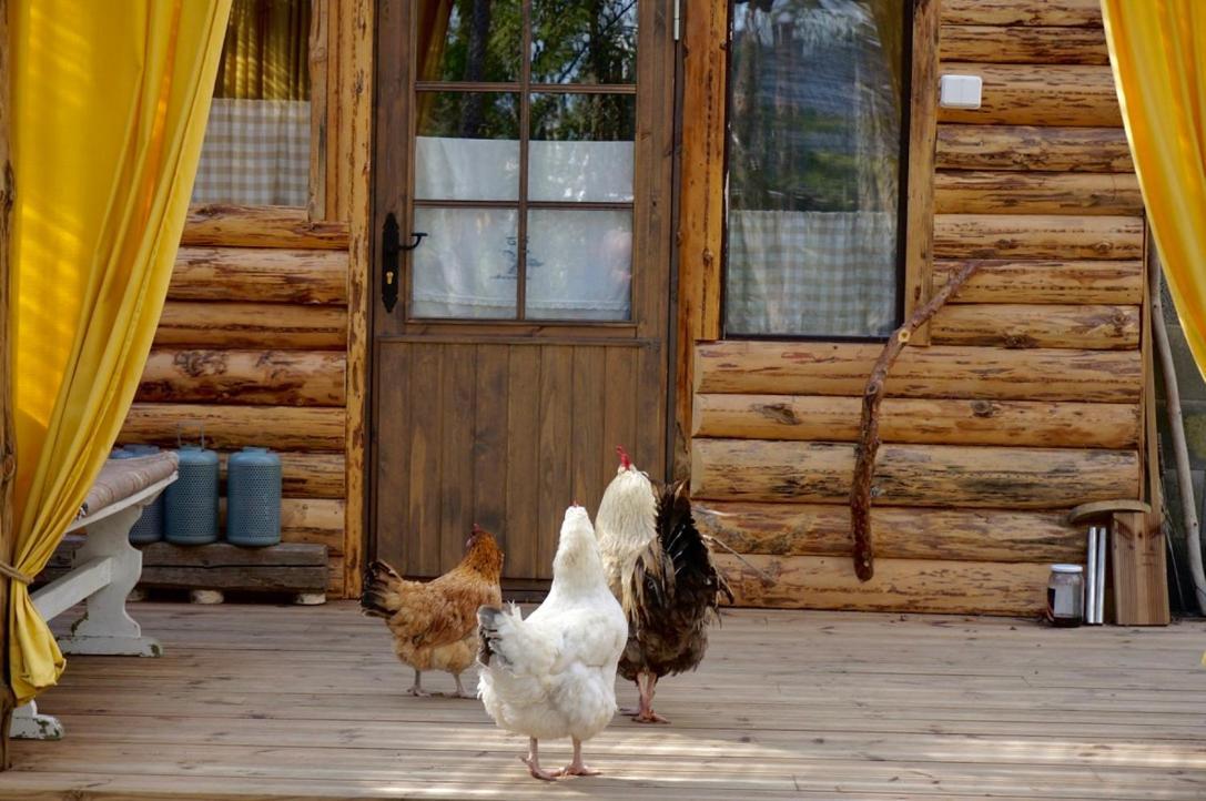 B&B Elaemys Aemmi Sauvo Zewnętrze zdjęcie